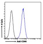 CD44 Antibody in Flow Cytometry (Flow)