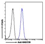 RAD23B Antibody in Flow Cytometry (Flow)