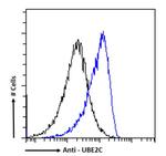 UBE2C Antibody in Flow Cytometry (Flow)