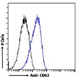 CD63 Chimeric Antibody in Flow Cytometry (Flow)