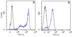 beta Tubulin Chimeric Antibody in Flow Cytometry (Flow)