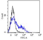 CD30 Chimeric Antibody in Flow Cytometry (Flow)