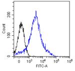 CD8b Chimeric Antibody in Flow Cytometry (Flow)