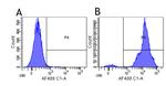 Efalizumab Chimeric Antibody in Flow Cytometry (Flow)