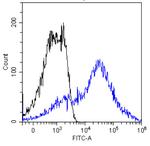 MUC1 Chimeric Antibody in Flow Cytometry (Flow)