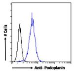 Podoplanin Chimeric Antibody in Flow Cytometry (Flow)