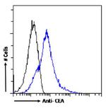 CD66 Antibody in Flow Cytometry (Flow)