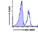 RAGE Chimeric Antibody in Flow Cytometry (Flow)