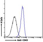 CD43 Chimeric Antibody in Flow Cytometry (Flow)