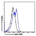 CCR9 Chimeric Antibody in Flow Cytometry (Flow)