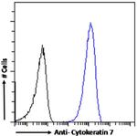 Cytokeratin 7 Chimeric Antibody in Flow Cytometry (Flow)