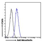 Mesothelin Chimeric Antibody in Flow Cytometry (Flow)