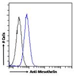 Mesothelin Chimeric Antibody in Flow Cytometry (Flow)