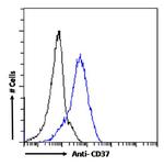 CD37 Chimeric Antibody in Flow Cytometry (Flow)