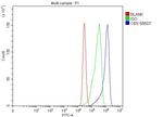 CBS Antibody in Flow Cytometry (Flow)