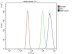 RBPJ Antibody in Flow Cytometry (Flow)