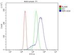 RBPJ Antibody in Flow Cytometry (Flow)