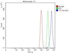 YY1 Antibody in Flow Cytometry (Flow)