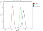 GPX1 Antibody in Flow Cytometry (Flow)