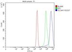 Band 3 Antibody in Flow Cytometry (Flow)