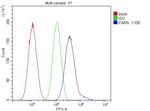 PARN Antibody in Flow Cytometry (Flow)