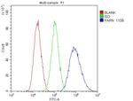 PARN Antibody in Flow Cytometry (Flow)