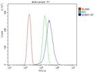 BUBR1 Antibody in Flow Cytometry (Flow)