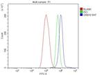 GRB10 Antibody in Flow Cytometry (Flow)