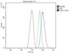 CES1 Antibody in Flow Cytometry (Flow)