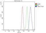 CtBP2 Antibody in Flow Cytometry (Flow)