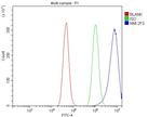 NMI Antibody in Flow Cytometry (Flow)