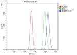 SHMT1 Antibody in Flow Cytometry (Flow)