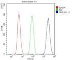 Cyclophilin B Antibody in Flow Cytometry (Flow)