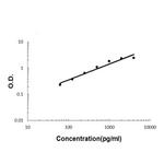 IL-32 Antibody in ELISA (ELISA)