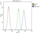 NFIA Antibody in Flow Cytometry (Flow)