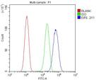 eIF6 Antibody in Flow Cytometry (Flow)