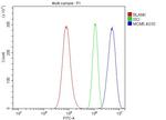 MCM5 Antibody in Flow Cytometry (Flow)