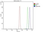 DDX6 Antibody in Flow Cytometry (Flow)