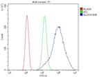 Aldolase A Antibody in Flow Cytometry (Flow)