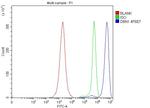 Drebrin Antibody in Flow Cytometry (Flow)