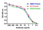 SARS-CoV-2 Spike Protein S1 Antibody in ELISA (ELISA)