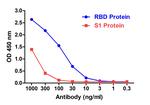 SARS-CoV-2 Spike Protein S1 Antibody in ELISA (ELISA)