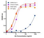 SARS-CoV-2 Spike Protein S1 Antibody in ELISA (ELISA)