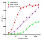 SARS-CoV-2 Spike Protein S2 Antibody in ELISA (ELISA)