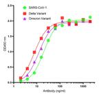 SARS-CoV-2 Spike Protein S2 Antibody in ELISA (ELISA)