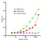 SARS-CoV-2 Spike Protein S2 Antibody in ELISA (ELISA)