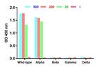 SARS-CoV-2 Spike Protein RBD Antibody in ELISA (ELISA)