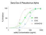 SARS-CoV-2 Spike Protein RBD Antibody in Neutralization (Neu)