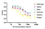 SARS-CoV-2 Spike Protein RBD Antibody in ELISA (ELISA)