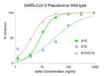 SARS-CoV-2 Spike Protein RBD Antibody in Neutralization (Neu)